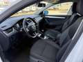 Skoda Octavia 1.6TDI CR Ambition Blanc - thumbnail 12
