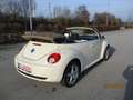 Volkswagen New Beetle Cabriolet 1.6 Beige - thumbnail 13