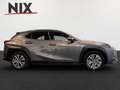 Lexus UX 300e Executive LED PDC KLIMA KAMERA Grau - thumbnail 3