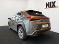Lexus UX 300e Executive LED PDC KLIMA KAMERA Grau - thumbnail 5