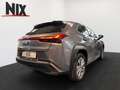 Lexus UX 300e Executive LED PDC KLIMA KAMERA Grau - thumbnail 4