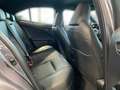 Lexus UX 300e Executive LED PDC KLIMA KAMERA Grau - thumbnail 15
