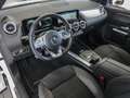 Mercedes-Benz EQA 250 + AMG Rückfahrkamera MBUX Ambiente LED White - thumbnail 12