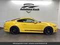 Ford Mustang Pack Shelby Tout compris hors homologation 4500e Jaune - thumbnail 11
