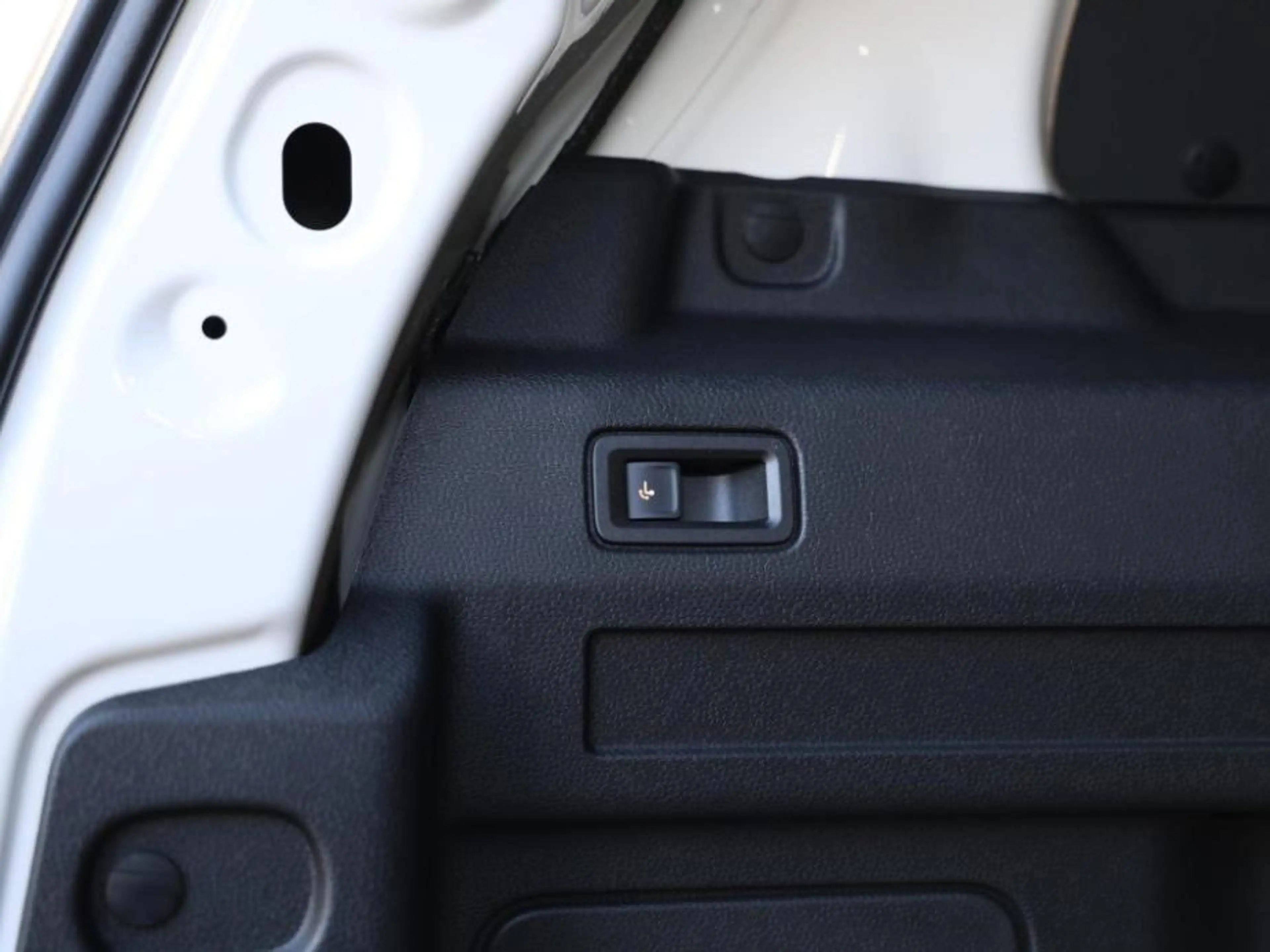 Volkswagen ID. Buzz Cargo Economy Limited Edition Elektromotor 286PK 79 kWh — photo 12