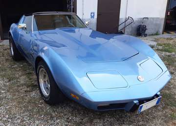 Stingray