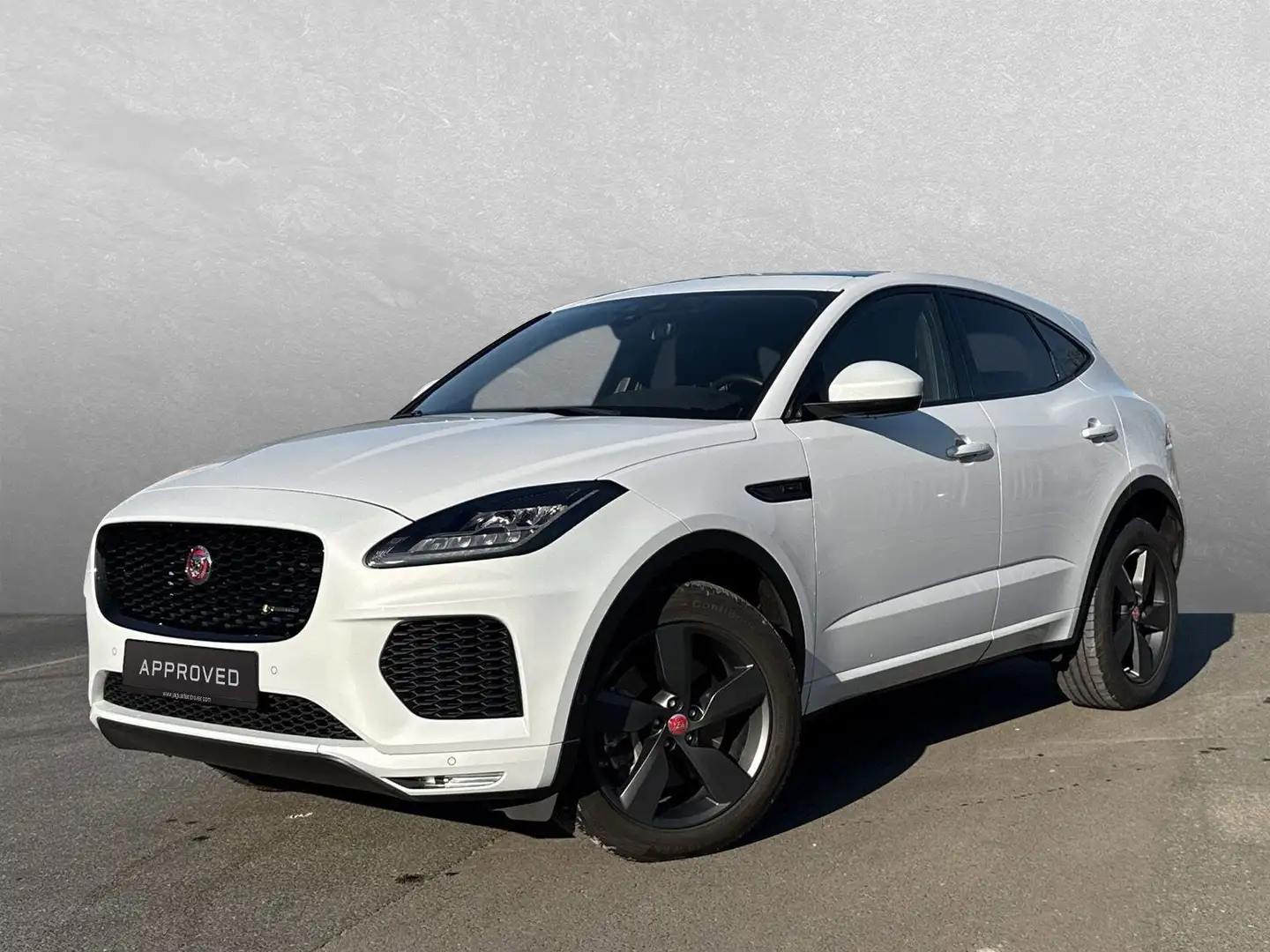 Jaguar E-Pace P250 Chequered Flag AWD / Black-Pack Blanco - 1
