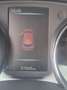 Nissan Pulsar Pulsar 1,2 DIG-T N-Vision N-Vision Rot - thumbnail 14