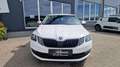Skoda Octavia Kombi TDI ''1.Besitz'' Weiß - thumbnail 2