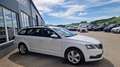 Skoda Octavia Kombi TDI ''1.Besitz'' Weiß - thumbnail 6