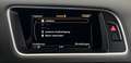 Audi SQ5 SQ5 3.0 TDI V6 24V competition quattro 240KW*EU 6 Grau - thumbnail 35