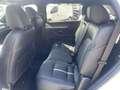 Mazda CX-80 3.3 e-SKYACTIV D 254ps 8AT AWD Homura Conv Білий - thumbnail 9