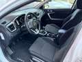 Kia Ceed SW / cee'd SW Sportswagon 1.0 T-GDi Comfortline TREKHAAK / BLUET Blanco - thumbnail 4
