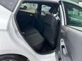 Ford Fiesta ST-Line 1.0 MHEV Sportpaket Navi Soundsystem LED B Weiß - thumbnail 7