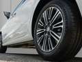 SEAT Ibiza 1.0 TSI Style Edition /Full-Link/LED/GRA Weiß - thumbnail 5