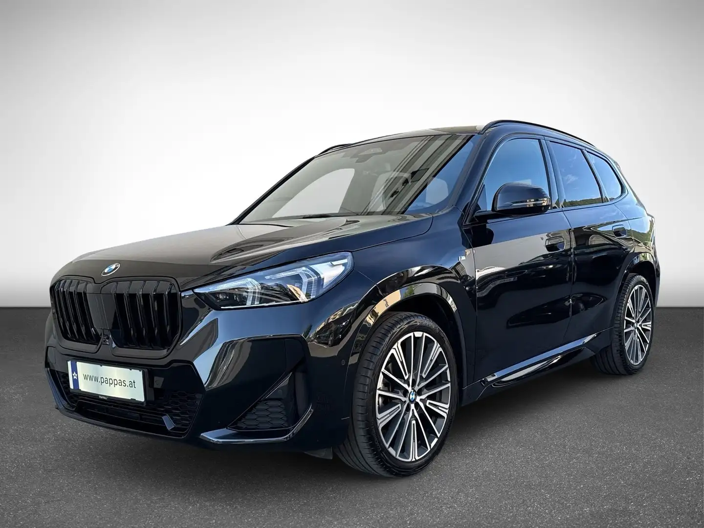 BMW X1 20 d xDrive M Sport Park-Assist PTS 360 Cam Schwarz - 2