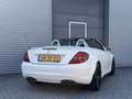 Mercedes-Benz SLK 55 AMG I Aut. I Designo I V8 I 361PK Weiß - thumbnail 7
