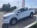 Ford Ranger Ranger 2.0 tdci double cab XLT 170cv Bianco - thumbnail 3