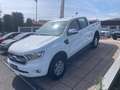 Ford Ranger Ranger 2.0 tdci double cab XLT 170cv Bianco - thumbnail 2