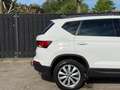 SEAT Ateca 1.0 EcoTSI Style Business Intense Blanco - thumbnail 15