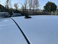 Volkswagen T-Roc 1.6 TDI SCR Business BMT Bianco - thumbnail 20