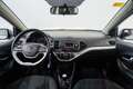 Kia Picanto 1.0 Concept Gris - thumbnail 12