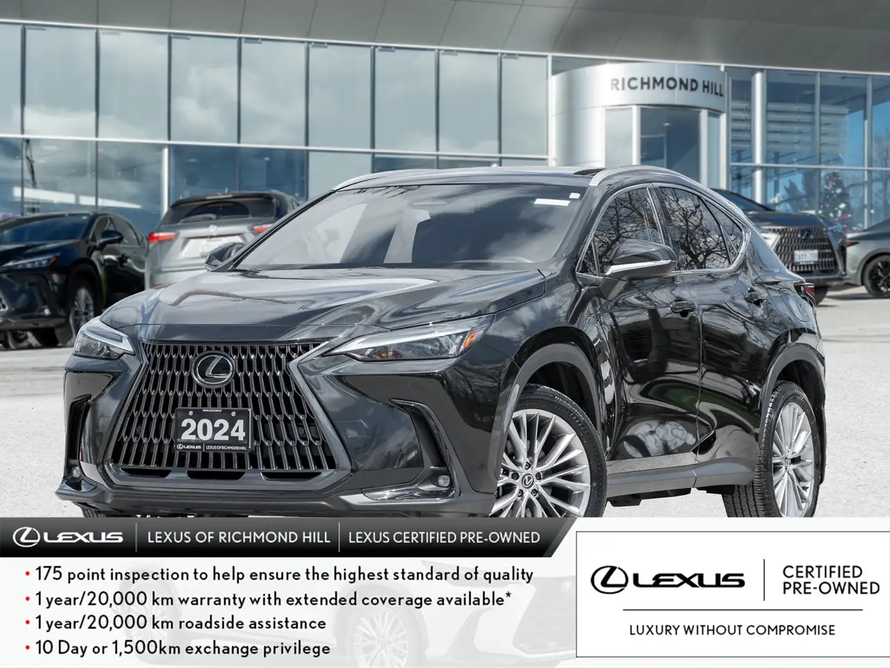 2024 Lexus NX