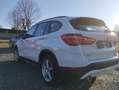 BMW X1 sDrive18d Aut.Advantage,Panoramadach,Head-up-Di... Weiß - thumbnail 9