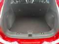 Ford Kuga ST-Line X LED+Pano+Kamera+Winterpaket Rouge - thumbnail 16