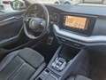 Skoda Octavia Scout 2.0TDI 200Cv DSG 4x4 VirCock Keyless ACC LED Grigio - thumbnail 7