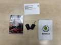 Skoda Kamiq 1.0 TSI Sport Business CarPlay LED Climate Adaptiv Grau - thumbnail 4