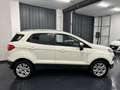 Ford EcoSport 1.0 Titanium 125cv DISTRIBUZIONE NUOVA! EURO 6! Bianco - thumbnail 5