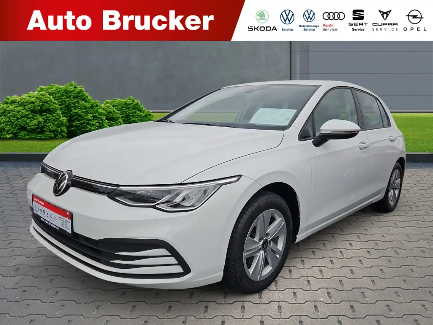 Volkswagen Golf VIII Life 2.0 TDI+Alufelgen+Navi+Klimaautomatik Weiß - 1