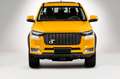DR Automobiles PK8 2.0 Turbo Diesel Doppia Cabina 4x4 - thumbnail 28