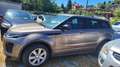 Land Rover Range Rover Evoque 5p 2.0 td4 SE Dynamic Bronze - thumbnail 3