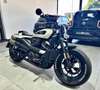 Harley-Davidson Sportster 1250 S Beige - thumbnail 3