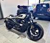 Harley-Davidson Sportster 1250 S Beige - thumbnail 7