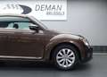 Volkswagen Beetle 1.2 TSI* Capteurs de stationnement* Brun - thumbnail 15