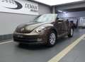 Volkswagen Beetle 1.2 TSI* Capteurs de stationnement* Brun - thumbnail 1