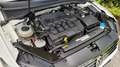 Volkswagen Passat Variant Passat Variant Highline 2,0 TDI SCR R-Line Blanco - thumbnail 12