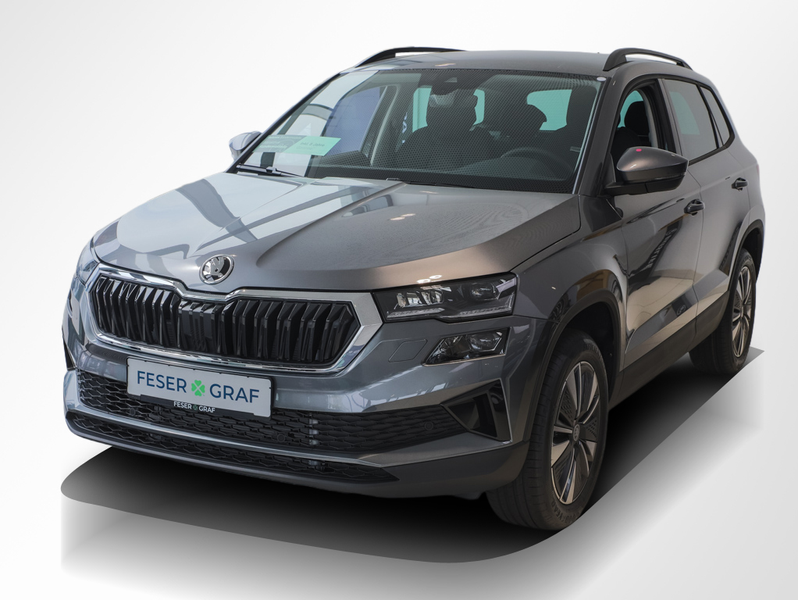 Skoda Karoq 1.5 TSI Balance DSG AHK Navi RüKa Sitzh.
