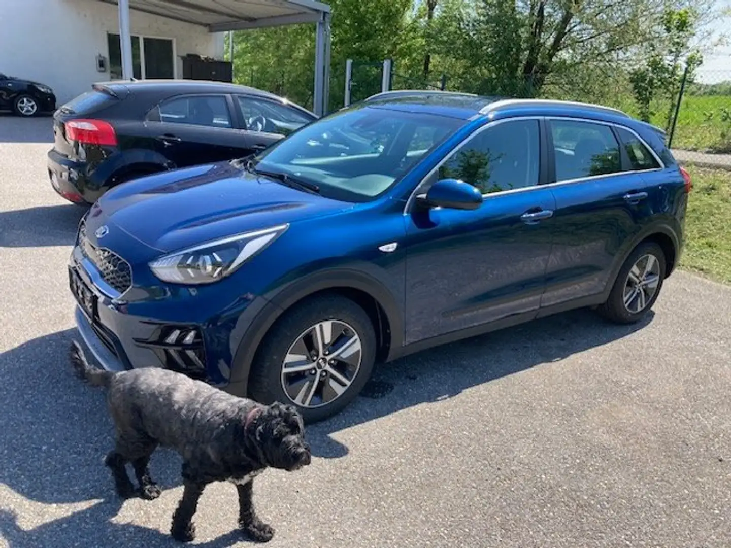 Kia Niro 1,6 GDI GPF Hybrid Silber DCT Aut. Blau - 2