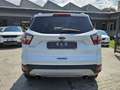 Ford Kuga 1.5 TDCI 120 CV S&S 2WD Powershift Edition Bianco - thumbnail 6