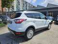 Ford Kuga 1.5 TDCI 120 CV S&S 2WD Powershift Edition Bianco - thumbnail 5