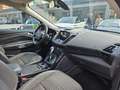 Ford Kuga 1.5 TDCI 120 CV S&S 2WD Powershift Edition Bianco - thumbnail 12