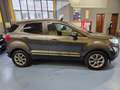 Ford EcoSport 1.0 EcoBoost 125 CV Start&Stop Titanium Grigio - thumbnail 4