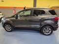 Ford EcoSport 1.0 EcoBoost 125 CV Start&Stop Titanium Grigio - thumbnail 8
