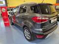 Ford EcoSport 1.0 EcoBoost 125 CV Start&Stop Titanium Grigio - thumbnail 7