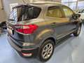 Ford EcoSport 1.0 EcoBoost 125 CV Start&Stop Titanium Grigio - thumbnail 5