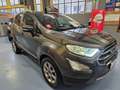 Ford EcoSport 1.0 EcoBoost 125 CV Start&Stop Titanium Grigio - thumbnail 3